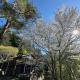 CabinC Private Fireplace, BBQ, Lake Saiko MtFuji, Narusawa (Foto 7)