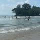 Yelisha's Place, Weligama (foto 3)