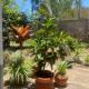 Pareiyo Residency, Nairobi (foto 4)