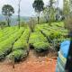 Beverly Hills Vagamon, Vagamon (fotografie 10)