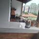 Hostel Morumbi, San Paolo - Foto 5