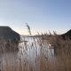 Dog friendly cottage on the edge of the Norfolk Broads, Hickling (fotografie 6)