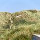 Holiday Home Marjon - 400m from the sea by Interhome, Pandrup (photo 3)
