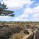 Holiday Home Othinkarl - 150m from the sea by Interhome, Neksø (fotografie 3)