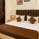 Hotel Heaven View - 50m From Golden Temple, Amritsar (foto 3)
