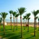 Stella Beach Resort & Spa Makadi Bay - 24 HRS All Inclusive, Hurghada (fotografie 10)