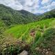 Heeloya mount view garden, Kande (foto 5)