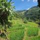 Heeloya mount view garden, Kande (foto 6)