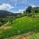 Heeloya mount view garden, Kande (foto 8)
