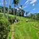 Heeloya mount view garden, Kande (foto 10)