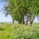 Holiday Home Sys - 150m from the sea by Interhome, Knebel (zdjęcie 2)