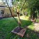 Between the Yarra Valley, City, wineries. Pets, Mooroolbark (foto 8)