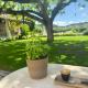 Renovated Bastide In The Heart Of Provence, Boulbon - Fotografie 3