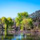 The Tranquil Den - Regent's Park - by Frankie Says, Londýn - Fotografie 8