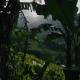 Heeloya mount view garden, Teldeniya (foto 6)