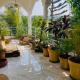 Hidden Haven, Eden in India ! Quietest stay in Goa Mandrem - Foto 1