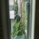 2 minutes to the station Newly built house near Shinjuku 7 people, Tokio - Fotografie 6