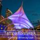 MODERN - Mins to Beach - Walk to Downtown - Free parking, Tarpon Springs (foto 7)