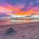 NEW Steps to Downtown - 7 Mins to Beach & Free Parking, New Port Richey (fotografie 5)