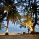 Pulojava Resort, Îles Karimunjawa (photo 4)
