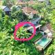 #B Vishnu Villa - Jungle Retreat Ubud - Photo 5