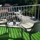 CENTRAL POINT APARTMENT - City centar Zenica-, Zenica (foto 6)