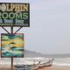 Dolphin beach stay, Gokarna (zdjęcie 3)