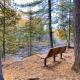 Gooseberry Trailside Suites by Heirloom Boutique Collection, Two Harbors (foto 9)