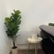 Chic & Comfy 1 Bed Apartment Sheffield Stay, Midland (photo 8)
