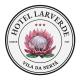 Hotel Larverde, Sertã (fotografie 4)