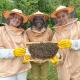Apiculture museum & Accommodation, Lushoto