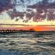 Bees Knees Studio, 5 min to CBD, Adelaide Airport & Henley Beach, Thebarton (foto 6)
