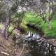 Bees Knees Studio, 5 min to CBD, Adelaide Airport & Henley Beach, Thebarton (foto 5)