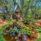 Pearl in the Jungle with Private Pool, Habarana (photo 7)