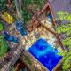 Pearl in the Jungle with Private Pool, Habarana (photo 3)