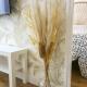 Ideally located close to train, Amiens (Foto 8)