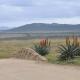 Ocean View Cottage, Springerbaai, Boggomsbaai (photo 8)