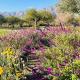 Finca La Linda, San Javier (photo 4)