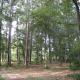 Spacious Vacation Rental with Expansive Grounds on an Old Plantation near Aiken, South Carolina, Seiglers Crossroads (fotografie 10)