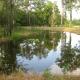 Spacious Vacation Rental with Expansive Grounds on an Old Plantation near Aiken, South Carolina, Seiglers Crossroads (fotografie 9)