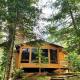 Inviting Lakefront Cabin with a Private Dock in Boulder Junction, Wisconsin