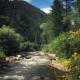 Cozy Rustic Cabin with Riverside Patio on the Pecos River – Pecos, New Mexico, Pecos (foto 4)