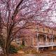 Spacious Vacation Rental with Jacuzzi near the Pocono Mountains, Pennsylvania, Andreas (fotografie 6)