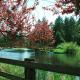Spacious Bed and Breakfast Suite on Horse Farm for Unique Getaway in Oak Harbor, Washington, Maple Grove Beach (fotografie 5)
