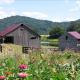 Lovely Cottage on Farm near Shenandoah National Park, Virginia, Sperryville (fotografie 6)