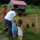 Rustic Vacation Rental on a Beautiful Working Farm in Royalton, Vermont, South Royalton (foto 5)