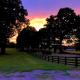 Scenic Barn B&B with Private Bath & Country Breakfast near Old Hickory Lake – Gallatin, Tennessee, Cedar Grove (fotografie 10)