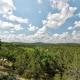 Unique Vacation Rental on 30-Acre Ranch near Pedernales Falls State Park, Texas, Henly (fotografie 10)