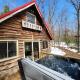 Secluded Luxury Cabin with Hot Tub on 10 Private Acres near Trails in Reed City, Michigan, Idlewild (fotografie 5)