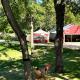 Charming Pet Friendly Cabin for 8 in Fergus Falls, Minnesota, Fergus Falls (foto 6)